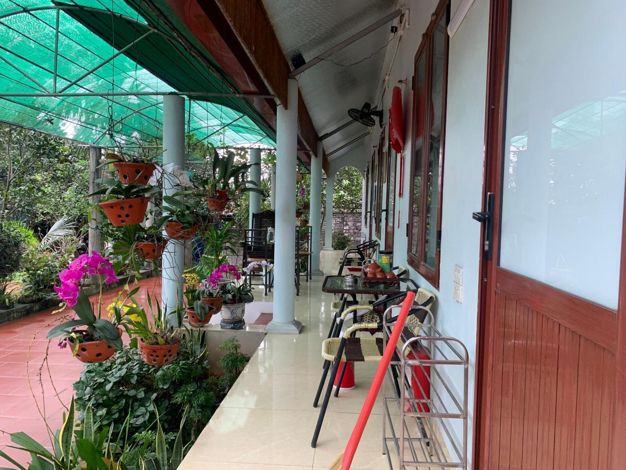 Tre Xanh Homestay Ninh Binh Exterior photo