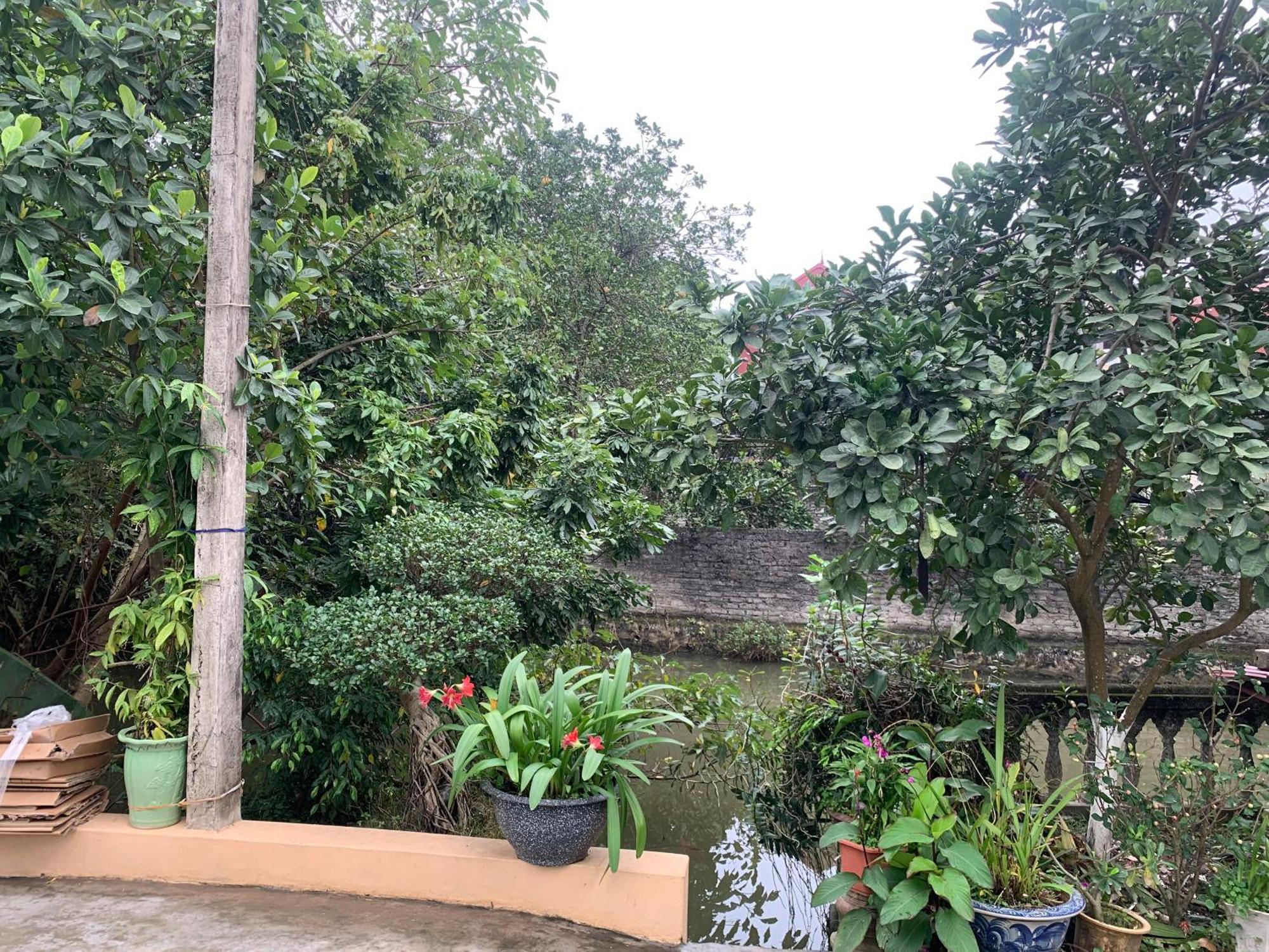 Tre Xanh Homestay Ninh Binh Exterior photo